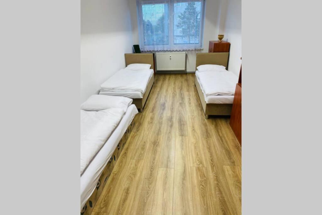 Apartman Solax, Ucnovska 8, Kosice Saca Buitenkant foto